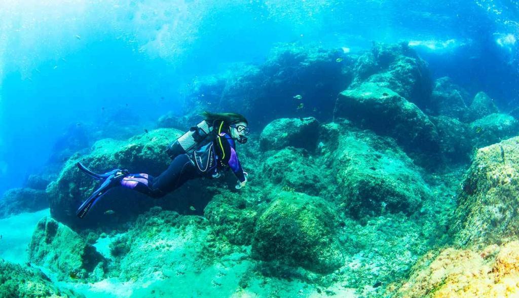 Dive Lanzarote | Come scuba diving with Manta Diving Lanzarote
