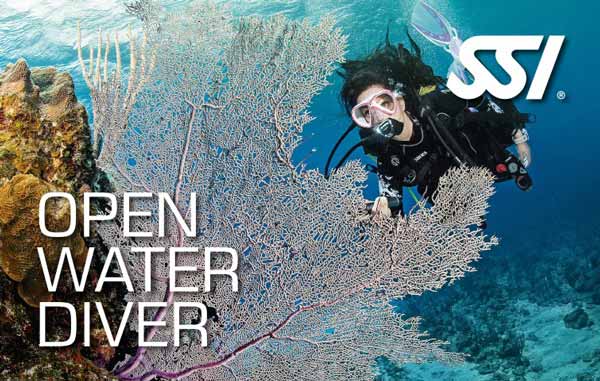 SSI Open Water Course Lanzarote - Learn to dive in Lanzarote