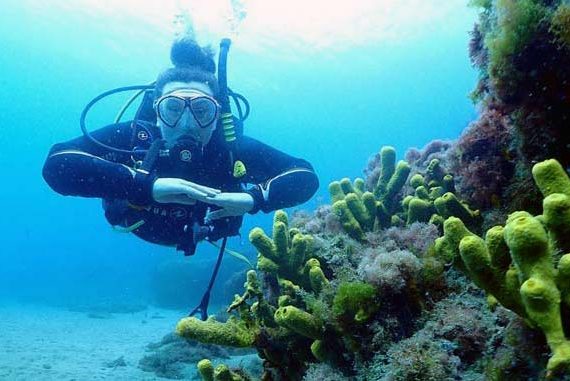 SSI Open Water Puerto Del Carmen | Learn to Dive Lanzarote